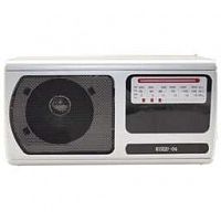 ЭФИР 06 FM 64-108МГЦ, БАТ. 2*R20, 220V