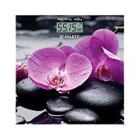 Весы напольные электронные Scarlett SC-BS33E067 орхидеи