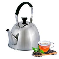 Чайник заварочный 1,0 л Kamille 1093 из нержавеющей стали