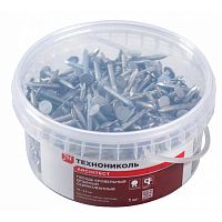 Гвоздь ершеный ТехноНиколь SHINGLAS кровельный 1кг (кодЕКН475131)