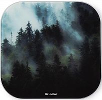 HYUNDAI H-BS03761