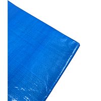 Тент X-Glass 80, 10 х 20м, 80 г/м2 полиэтиленовый 3-х слойный ламинированный