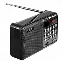 PERFEO (PF-A4870) PALM ЧЕРНЫЙ