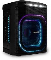 ELTRONIC (30-80) DANCE BOX 550 - КОЛОНКА 08"