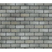 Фасадная плитка ТехноНиколь HAUBERK Серо-бежевый кирпич (250мм/1000мм/2м) 2/4Т4Х21-076 RUS екн068912