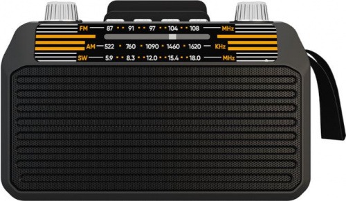 SOUNDMAX SM-RD2114UB(ЧЕРНЫЙ)