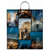 Пакет с пластмассовыми ручками 40x44+10см (100) Интерпак Фотодень ламинированный (х10/100) ПЛР63443