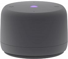 ЯНДЕКС YNDX-00028GRY СТАНЦИЯ ЛАЙТ 2 С АЛИСОЙ, БЕЗ ЧАСОВ СЕРАЯ