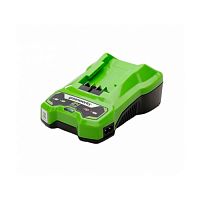 Зарядное устройство Greenworks G24C4 24V (2946407)