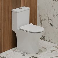 Унитаз-моноблок EvaGold TR1197 безободковый, сиденье тонкое ДП, арматура (с гофрой и подводкой)