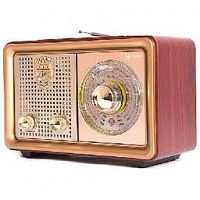 БЗРП РП-324BT УКВ 64-108МГЦ, БАТ. 2*R20, 220V, USB/MICROSD/AUX, ЛУПА