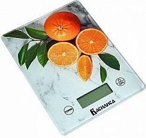ВАСИЛИСА ВА-017