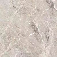 Керамогранит Global Tile Tulip_GT серый 600х600 полированный (GT606012101SPR)(1.44кв.м)